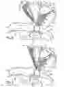 Fig. 07 - Versatile Canopy for a Child Seating Device