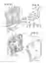 Fig. 04 - Backrest