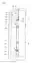 Fig. 07 - Guide rail attaching structure for sliding door and refrigerator having the same