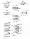 Fig. 08 - Probe devices formed from multiple planar layers of structural material with tip regions formed from one or more intermediate planar layers