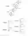 Fig. 06 - Time to digital converter and all digital phase-locked-loop