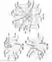 Fig. 06 - Three-dimensional microstructures