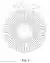 Fig. 07 - FLAKE COIL