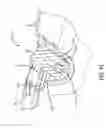 Fig. 33 - Shore power cord set