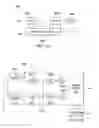 Fig. 03 - Multiplexed amplifier with reduced glitching