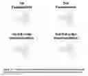 Fig. 18 - Phased array antenna system with intermodulation beam nulling