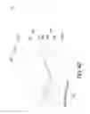 Fig. 09 - Piezoelectric inkjet head structure