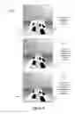 Fig. 06 - Visualizing video within existing still images