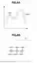 Fig. 07 - Focus adjustment apparatus