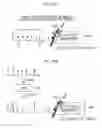 Fig. 09 - PHYSICAL STATE MEASURING APPARATUS AND PHYSICAL STATE MEASURING METHOD