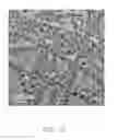Fig. 12 - Optical fiber probe and raman detecting system having same