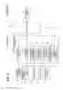 Fig. 03 - Pixel interpolating device, image reading apparatus, pixel interpolating method and computer-readable medium