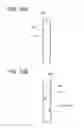 Fig. 13 - Lens sheet, display panel, and electronic apparatus