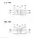 Fig. 17 - Lens sheet, display panel, and electronic apparatus
