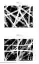 Fig. 02 - Composite electrode active material having MRuO(M=Sr, Ba, Mg), supercapacitor using the same and fabrication method thereof