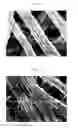 Fig. 07 - Composite electrode active material having MRuO(M=Sr, Ba, Mg), supercapacitor using the same and fabrication method thereof