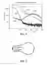Fig. 04 - ILLIMINATION DEVICE WITH AFTERGLOW CHARACTERISTICS