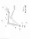 Fig. 02 - Adjustable structure for lamp stand