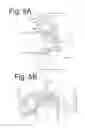 Fig. 06 - Vehicle light