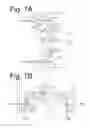 Fig. 08 - Vehicle light