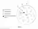 Fig. 02 - Method for establishing adaptive mobile cluster network