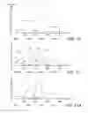 Fig. 11 - Methods and systems for estimating network available bandwidth using packet pairs and spatial filtering