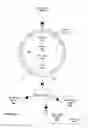 Fig. 05 - Distributed access point for IP based communications