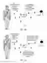 Fig. 07 - Short-range wireless networks