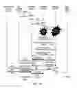 Fig. 10 - Short-range wireless networks