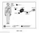 Fig. 12 - Short-range wireless networks