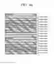 Fig. 49 - Digital broadcasting transmitter, digital broadcasting receiver, and methods for configuring and processing a stream for same