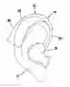 Fig. 01 - Ear Thermometer and Method for Measuring the Body Temperature