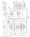 Fig. 12 - Systems and methods for visual presentation and selection of IVR menu