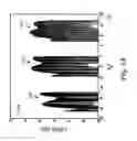 Fig. 08 - Characterization of an entangled photon system