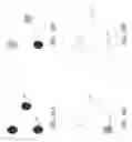 Fig. 24 - METHOD FOR DETECTING THE PRESENCE OF A TARGET ANALYTE IN A TEST SPOT