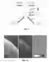 Fig. 09 - Method and apparatus for quantitative imaging of blood perfusion in living tissue