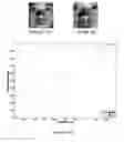 Fig. 13 - OBJECT RECOGNITION IN AN IMAGE