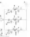 Fig. 07 - Heating element assembly for electric tankless liquid heater