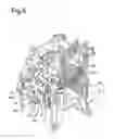 Fig. 07 - Shock-absorbing mechanism for movable mirror of camera