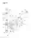 Fig. 15 - Shock-absorbing mechanism for movable mirror of camera