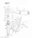 Fig. 26 - Shock-absorbing mechanism for movable mirror of camera
