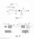 Fig. 09 - Receiver for a quantum communication system