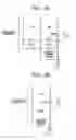 Fig. 06 - IMAGE FORMING APPARATUS