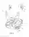 Fig. 03 - Anti-Vibration Fan