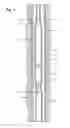 Fig. 02 - Electrical submersible pump system having high temperature insulation materials