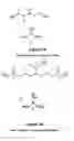 Fig. 06 - Alkanolamine COscrubbing process