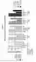 Fig. 09 - Anti-VEGF antibody compositions and methods
