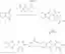 Fig. 30 - Isotopologues of thalidomide