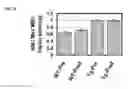 Fig. 05 - Methods of leukemia cell detection