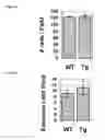 Fig. 07 - Methods of leukemia cell detection